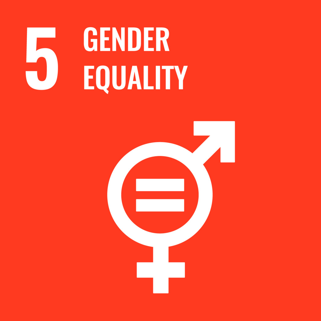 SDG 5 logo SDG 5 logo