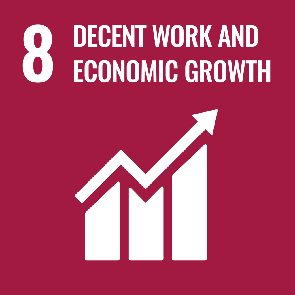SDG 8 logo SDG 8 logo