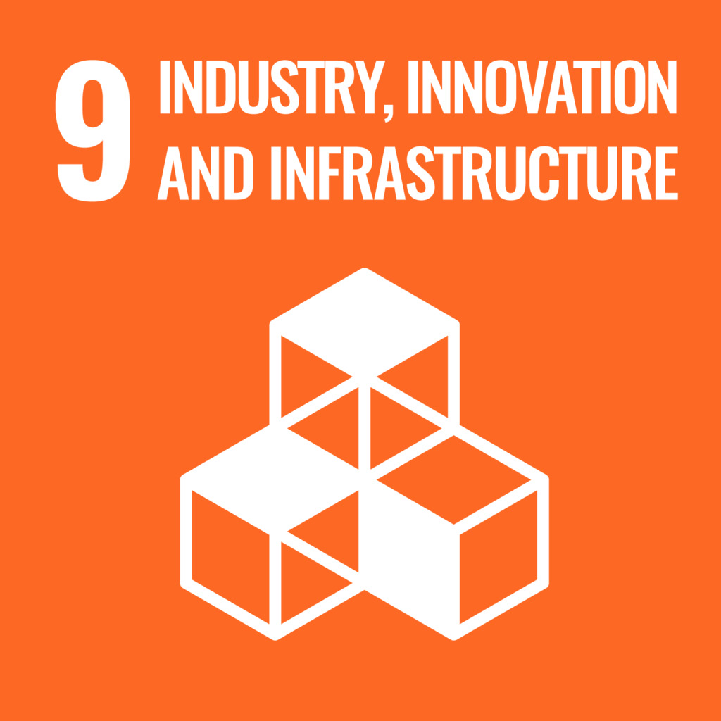 SDG 9 logo SDG 9 logo